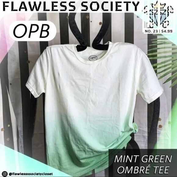 NWOT ORIGINAL PAPERBACKS MENS MINT GREEN OMBRÉ RELAXED TEE SIZE SMALL - Picture 2 of 5